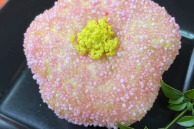 淑徳高校料理写真