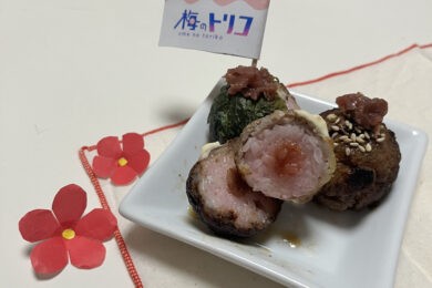 料理写真